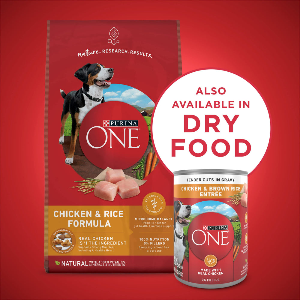 Purina ONE vitamins and minerals highlight added nutrients for balanced daily nutrition.