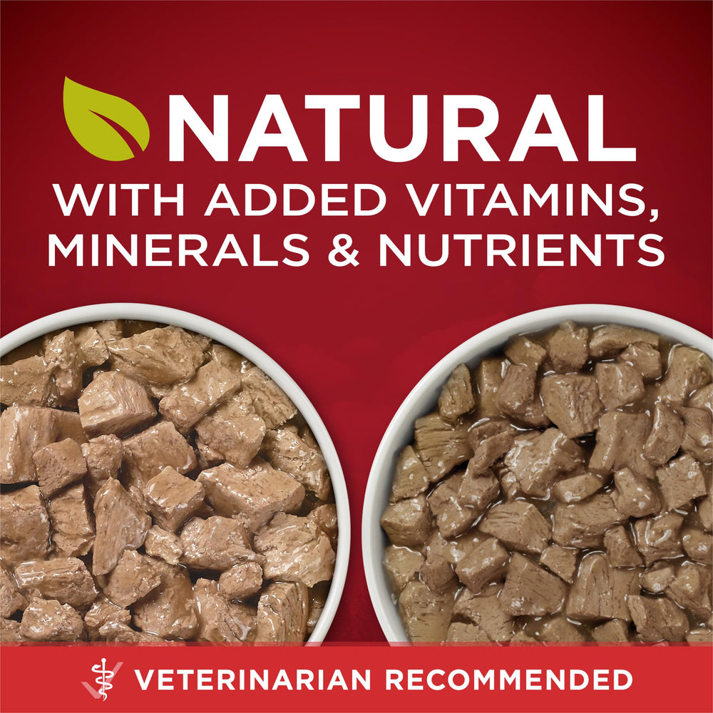 Purina ONE tender cuts in gravy closeup—mouthwatering texture your dog may enjoy.
