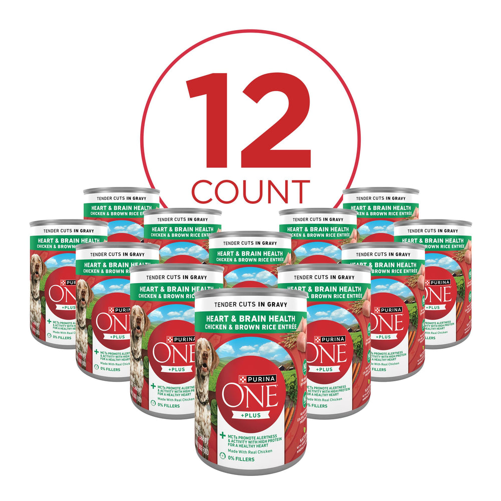 Purina ONE Tender Cuts gravy pour captures savory gravy enhancing flavor for dogs