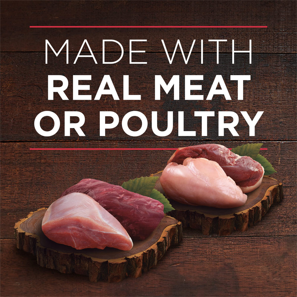 Purina ONE tender cuts in gravy bowl close-up shows rich texture and moisture.