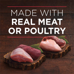 Purina ONE tender cuts in gravy bowl close-up shows rich texture and moisture.