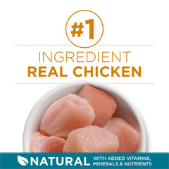 Purina ONE Tender Selects Real Chicken ingredient label highlights protein-rich start