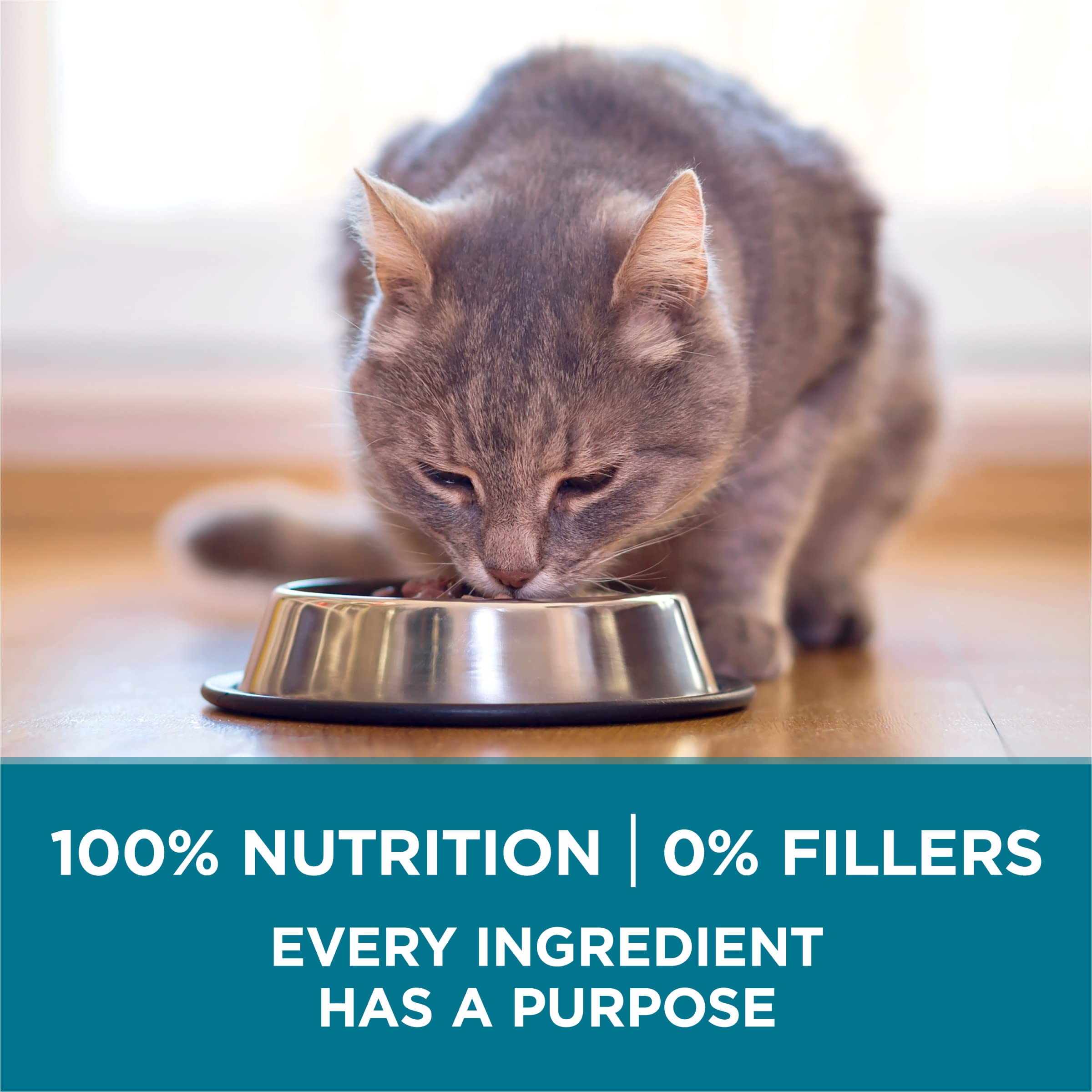 Bag of Purina ONE Tender Selects shows calories per serving and feeding chart