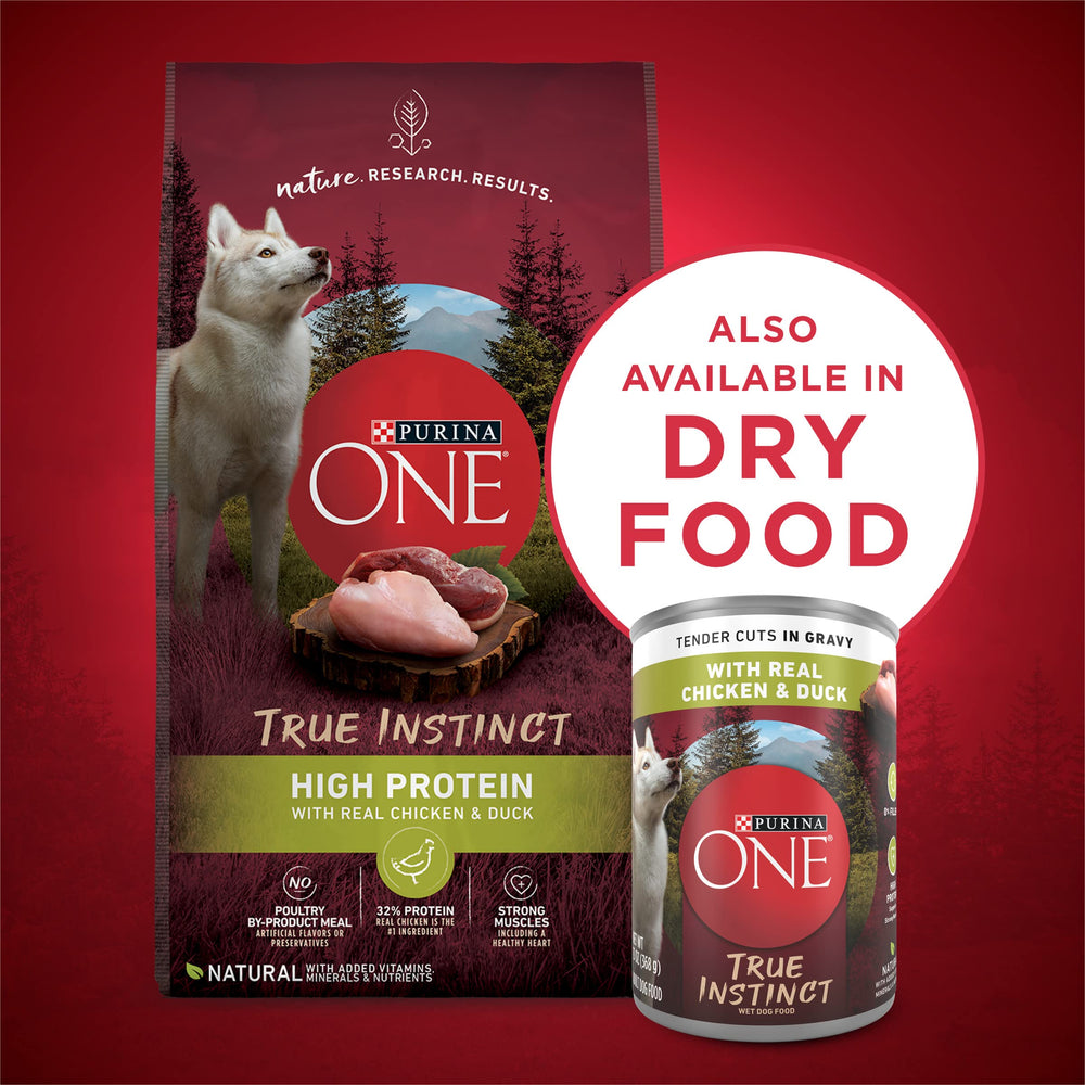 Purina ONE wet dog food as a versatile staple or topper