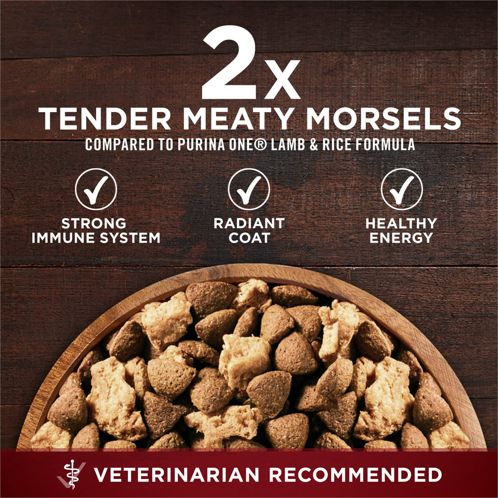 Purina ONE True Instinct omega-6 for healthy skin and coat