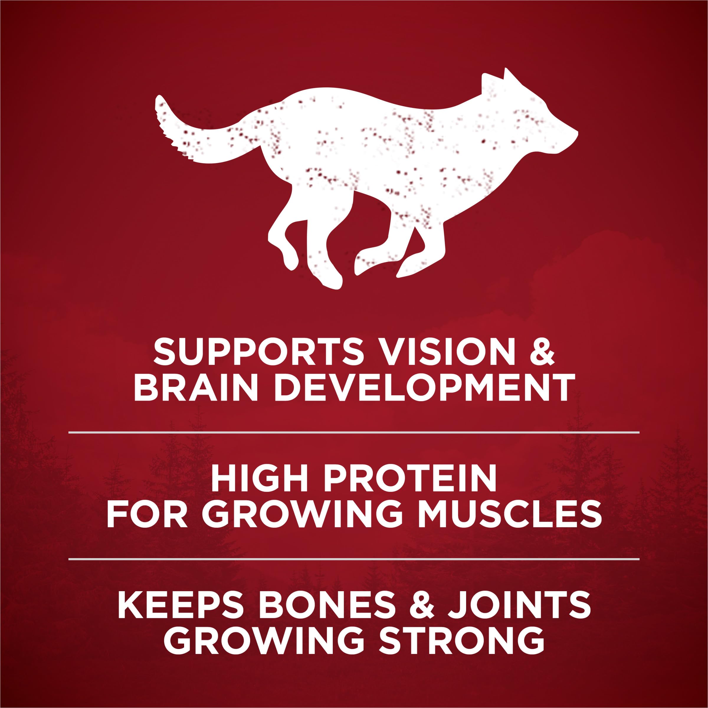 Purina ONE True Instinct high-protein kibble supports muscle development in puppies