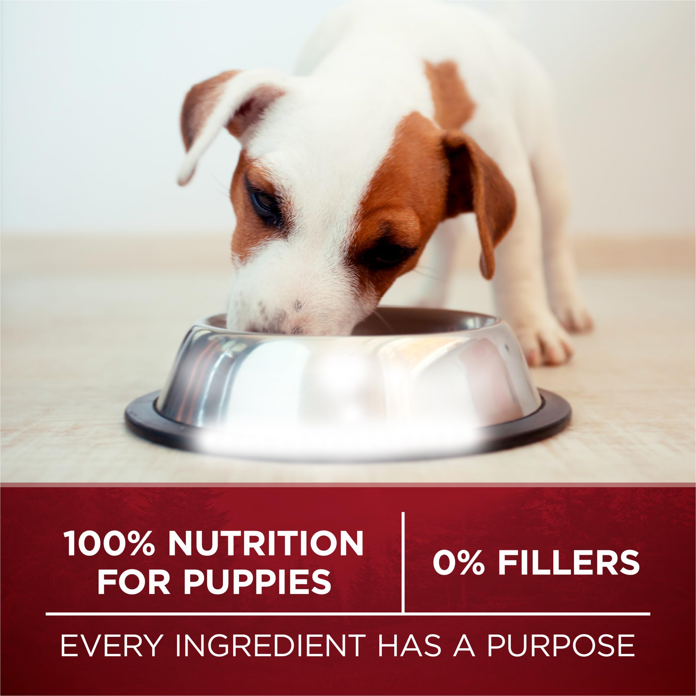 Purina ONE True Instinct Puppy flavor-free closeup showcases natural ingredients.