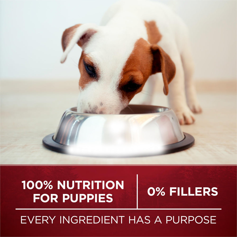 Purina ONE True Instinct Puppy twice-as-tender-morsels highlight meal variety.