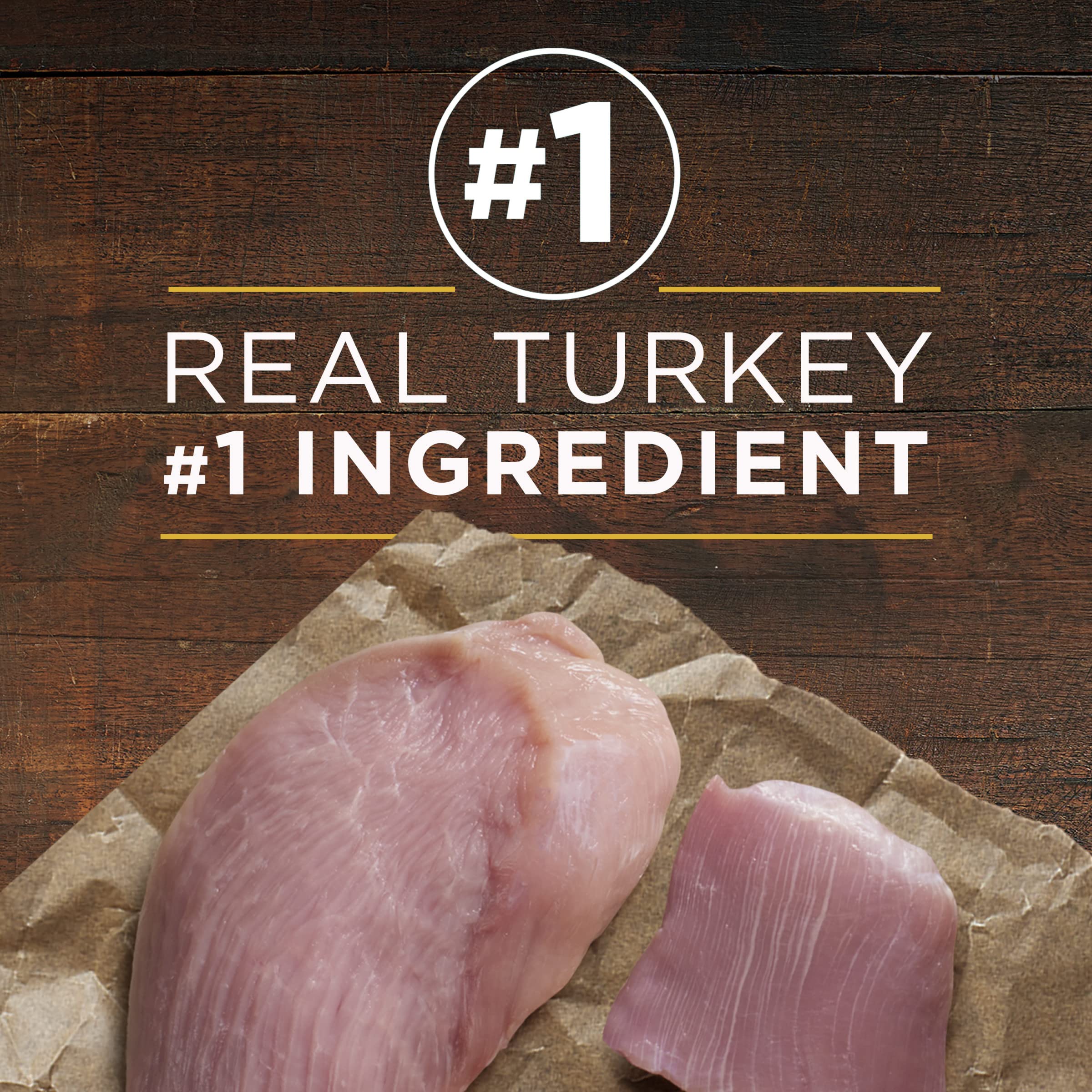 Vet-recommended Purina ONE brand visualization communicates trusted adult dog nutrition.