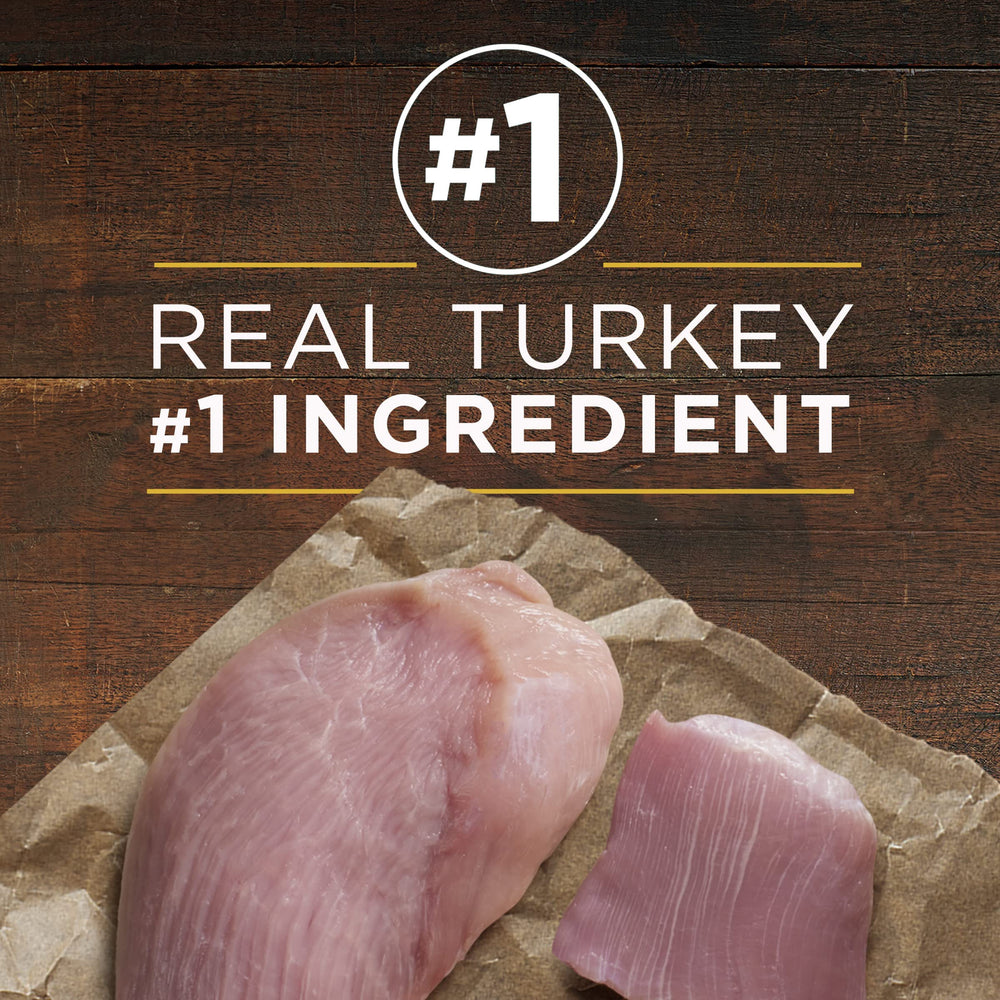 Vet-recommended Purina ONE brand visualization communicates trusted adult dog nutrition.