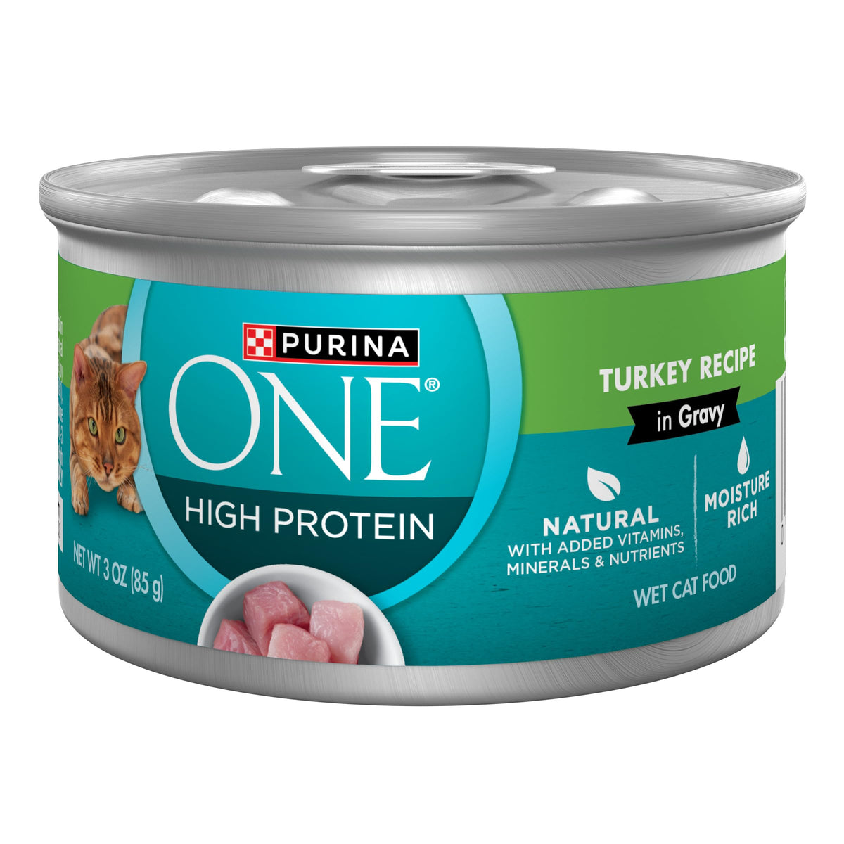 Purina ONE Turkey Recipe in Gravy bowl close-up with protein-rich texture.