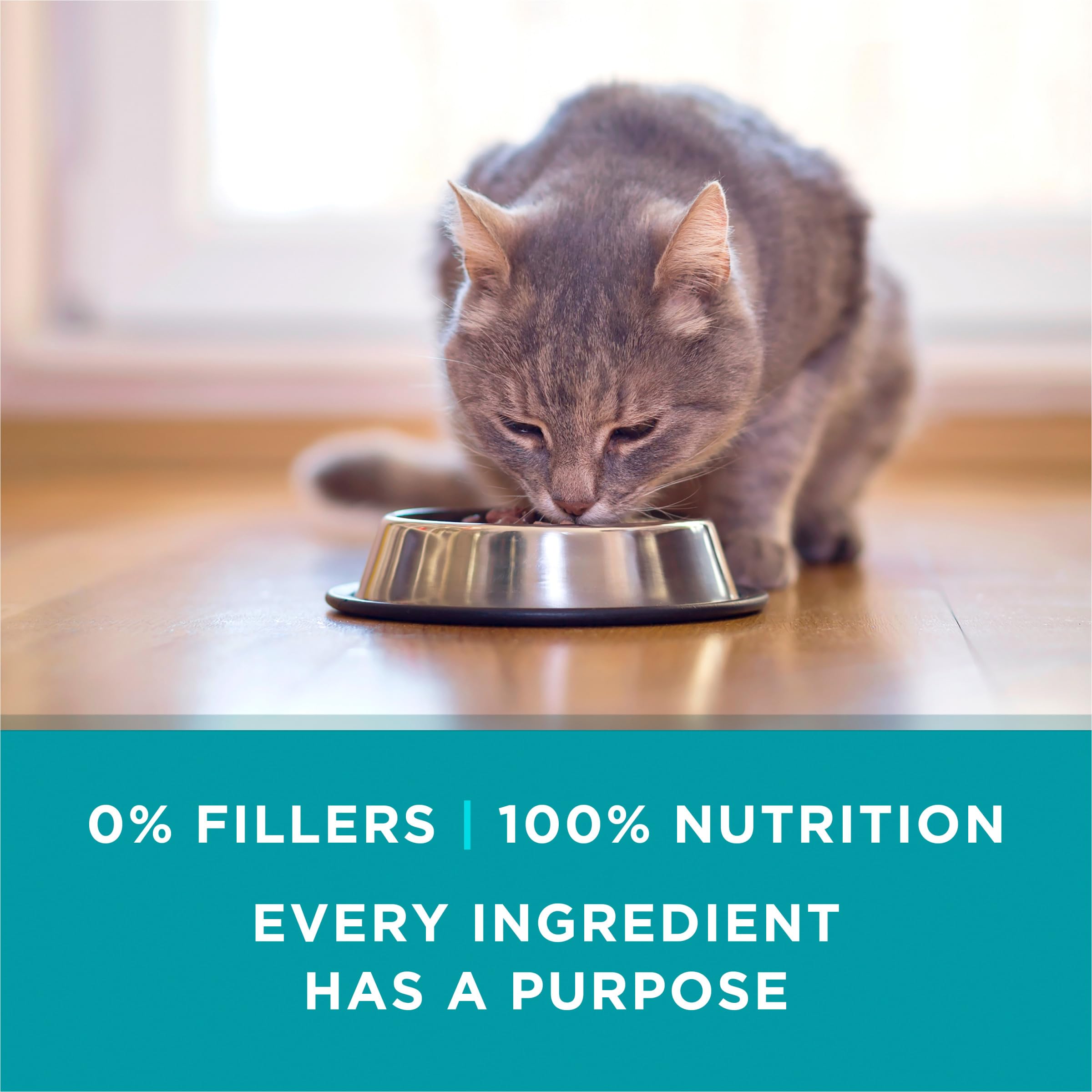 Purina ONE Turkey Recipe nutrition facts label indicates balanced vitamins and minerals.