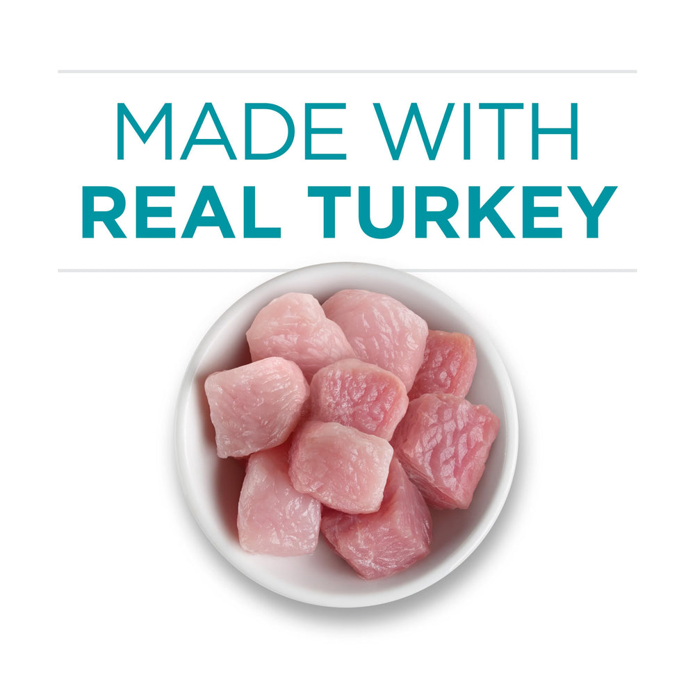 Purina ONE Turkey Recipe 24-pack cans demonstrates value for households.