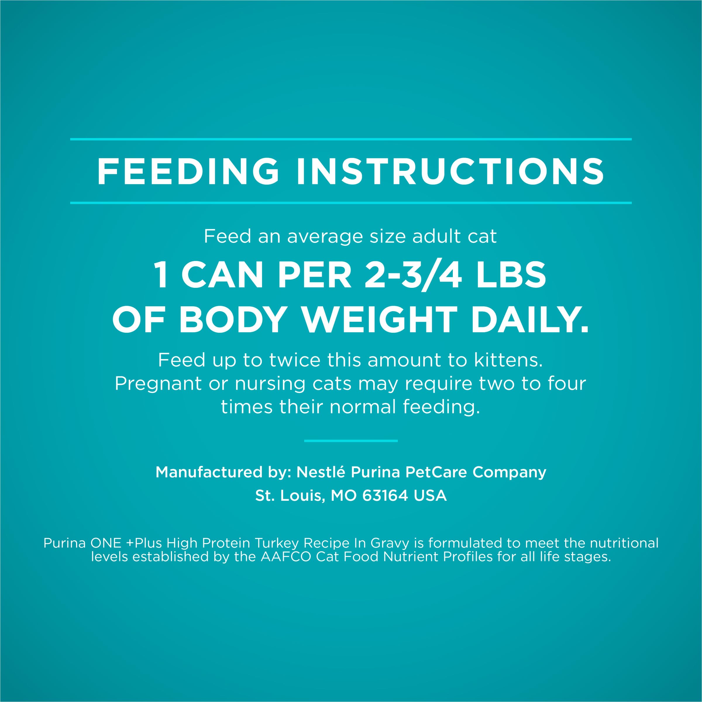 Purina ONE Turkey Recipe morning serving helps daily feeding routine.