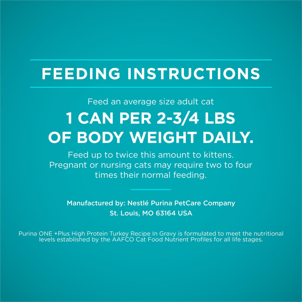 Purina ONE Turkey Recipe morning serving helps daily feeding routine.
