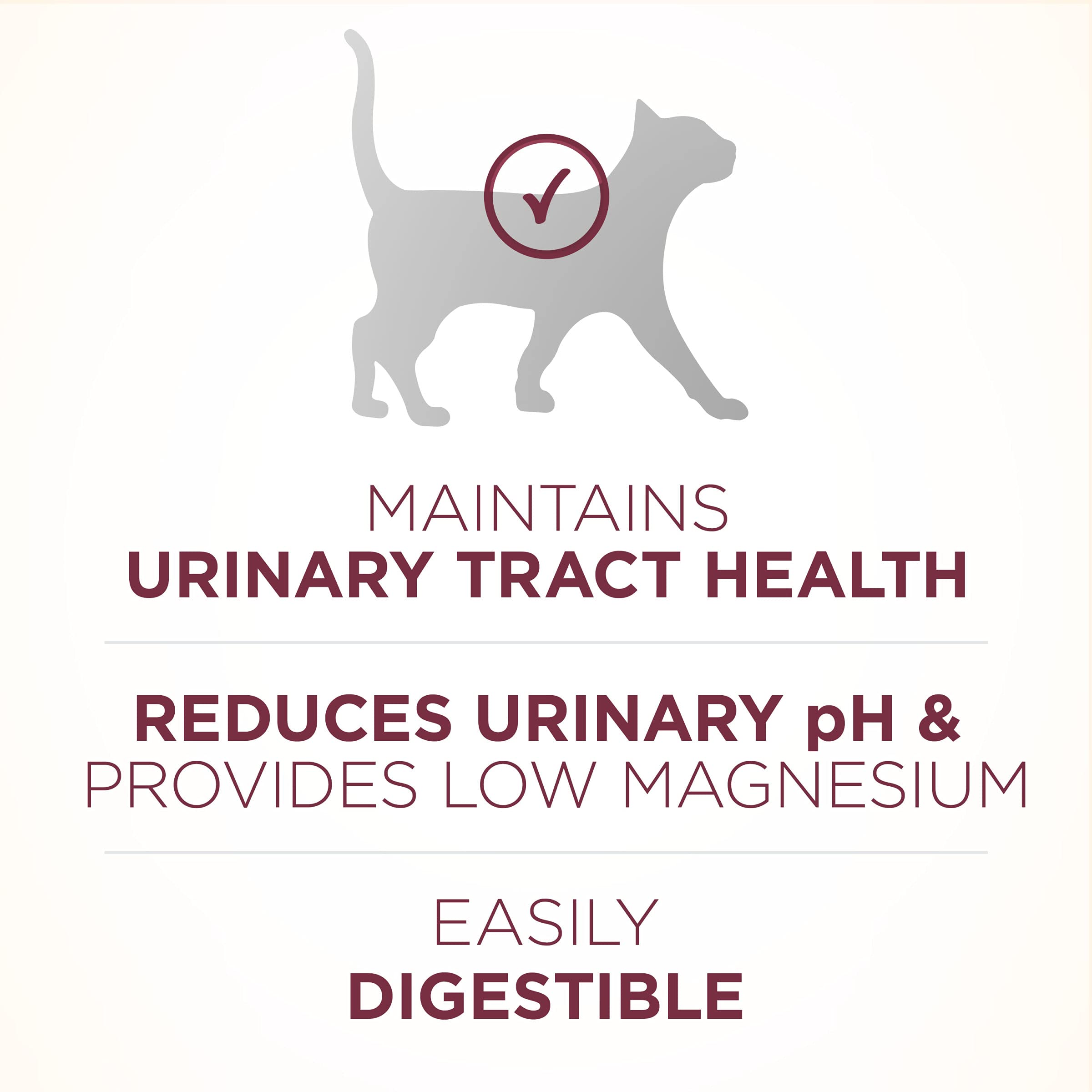 Purina ONE urinary health formula icon highlighting low magnesium for urinary support.
