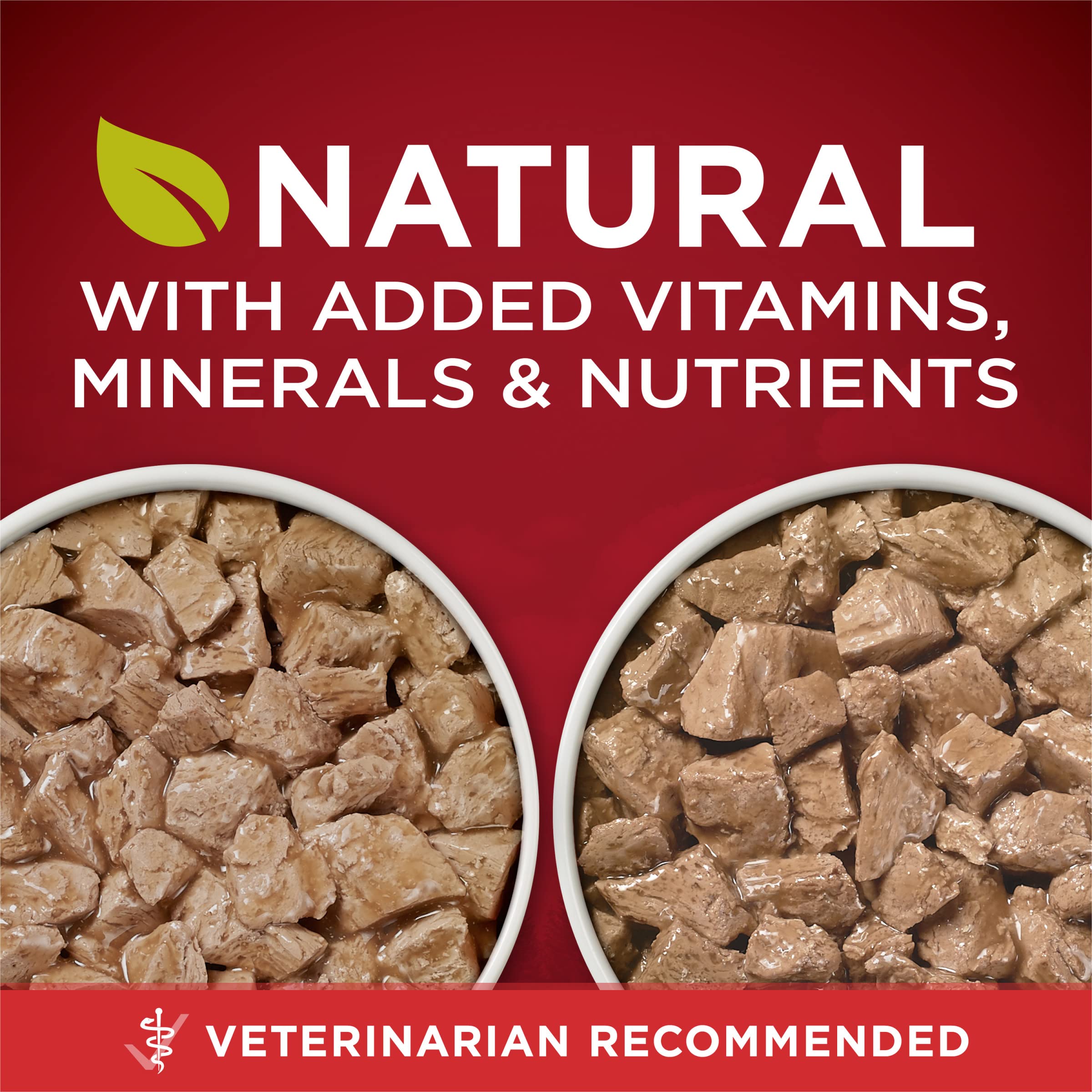 Purina ONE variety-pack label highlights two high-protein flavors for dogs daily variety.