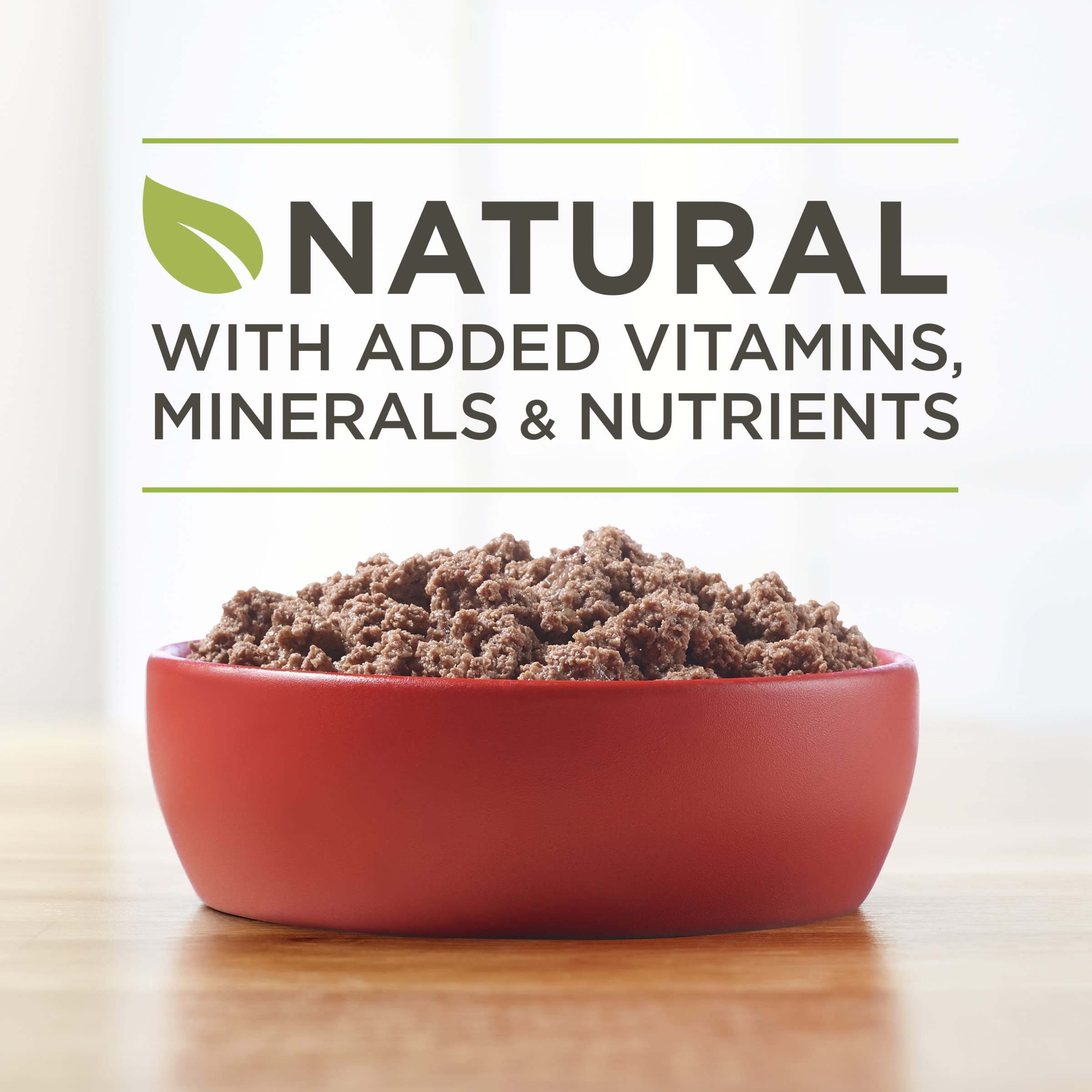 Purina ONE grain-free wet dog food with no artificial colors or preservatives