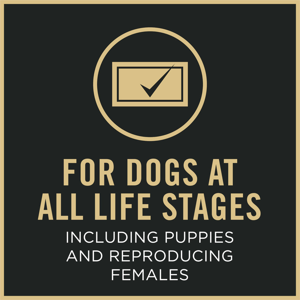 Purina Pro Plan Active 27/17 SPORT dog running scene highlighting mobility.