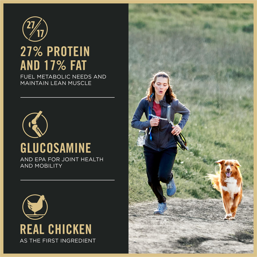 Purina Pro Plan Active 27/17 SPORT kibble closeup showing high protein and energy.