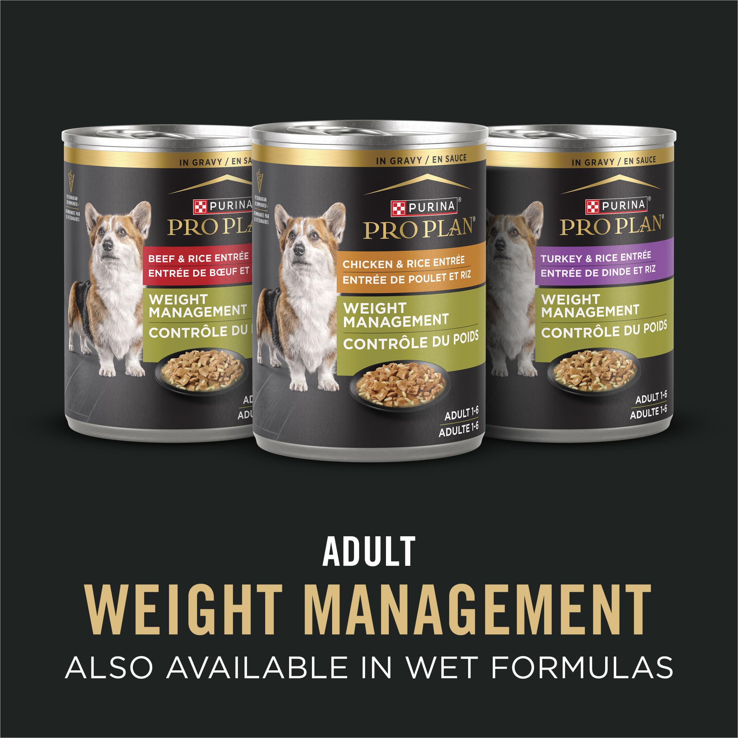 Kibble enriched with omega-6 and vitamin A for coat health.
