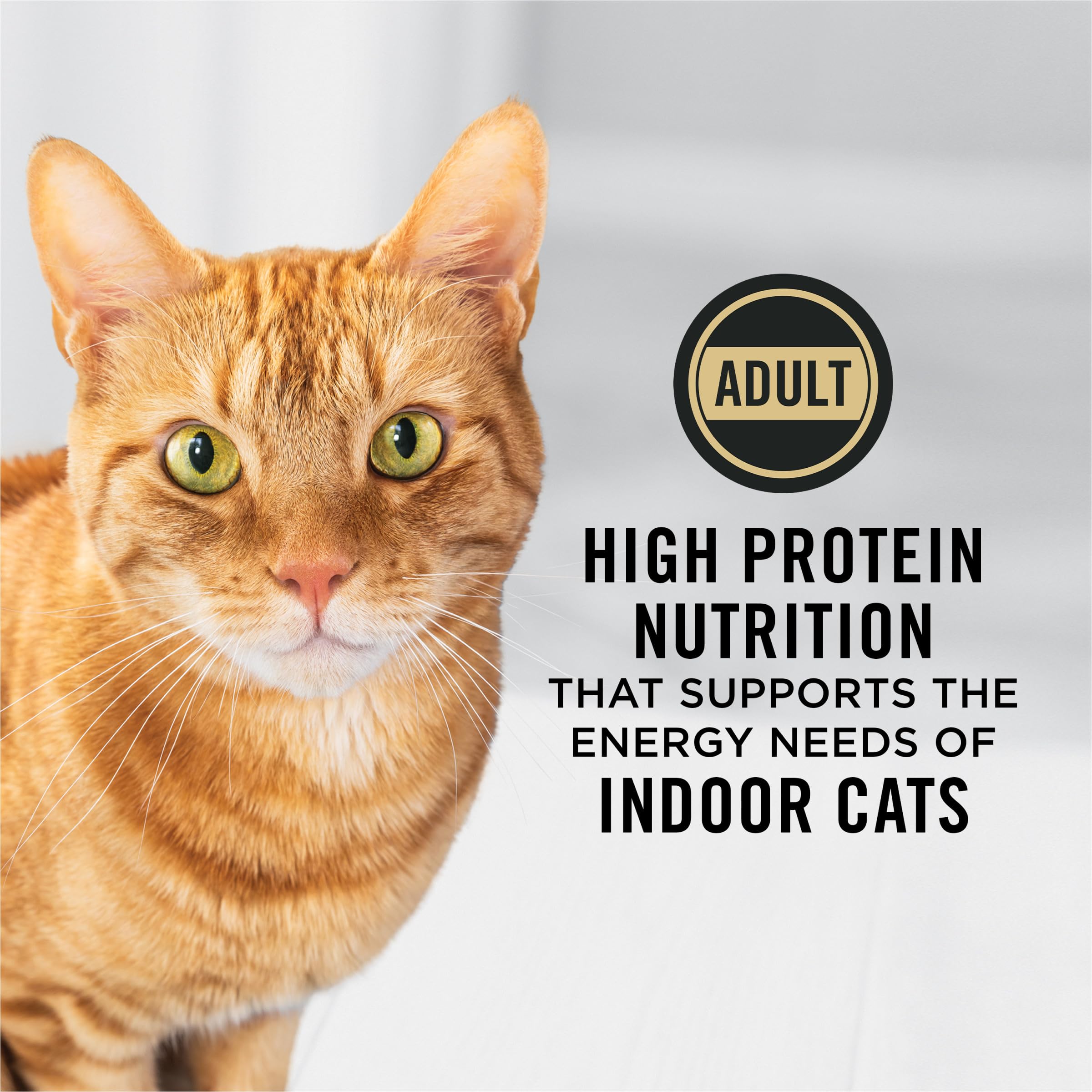 Purina Pro Plan serving bowl image shows flavor and digestion for indoor cats
