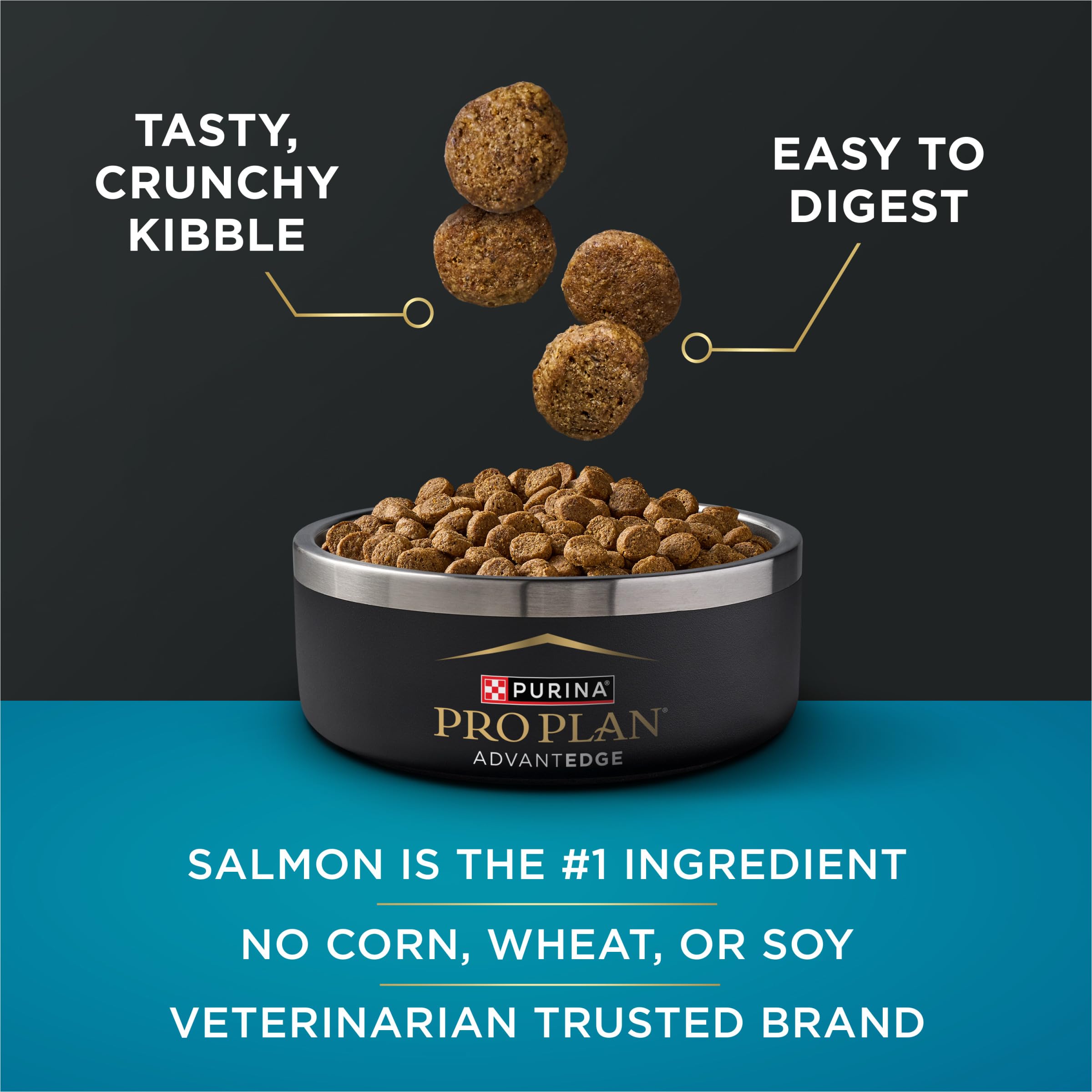Purina Pro Plan AdvantEDGE small-breed dog eating image highlighting appealing taste for small dogs.