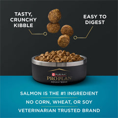 Purina Pro Plan AdvantEDGE small-breed dog eating image highlighting appealing taste for small dogs.