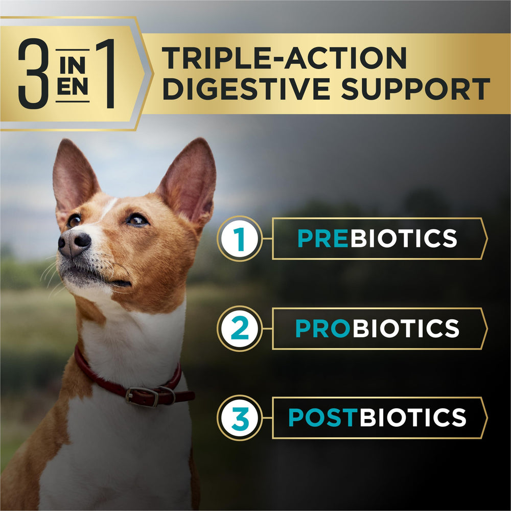 Purina Pro Plan AdvantEDGE digestible kibble close-up illustrating texture for sensitive stomachs.
