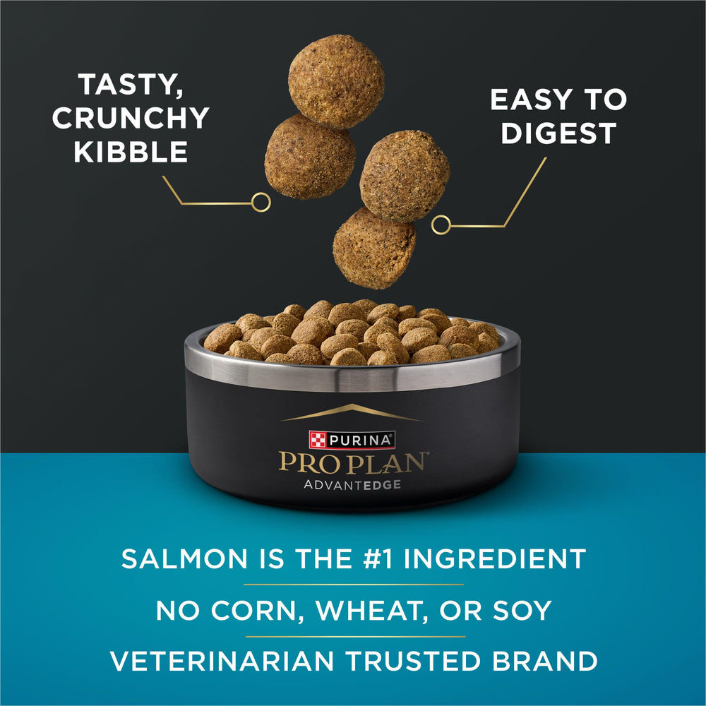 Purina Pro Plan AdvantEDGE dog eating from bowl during mealtime
