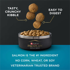 Purina Pro Plan AdvantEDGE dog eating from bowl during mealtime