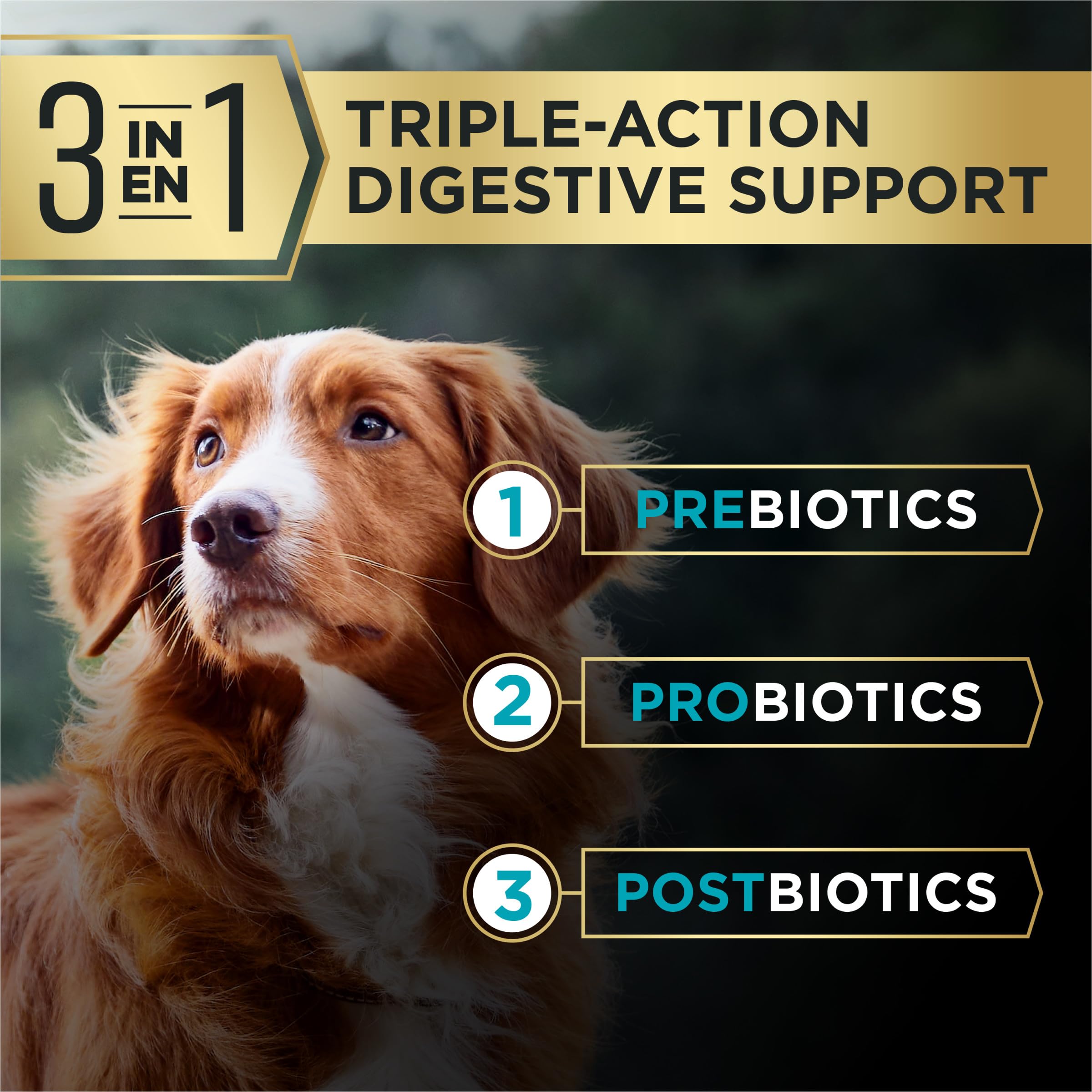 Purina Pro Plan AdvantEDGE no corn wheat soy formula for sensitive stomachs.