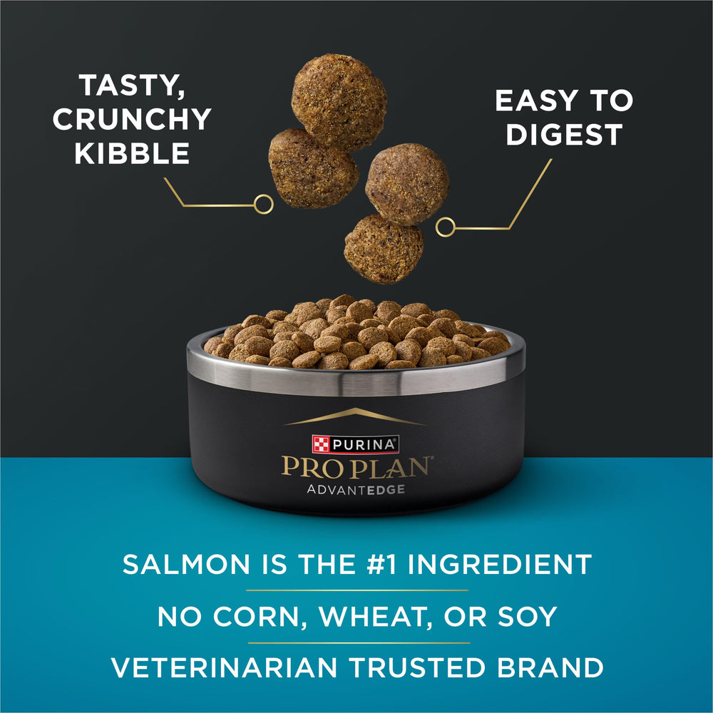 Real salmon first ingredient signals palatability and digestion support.