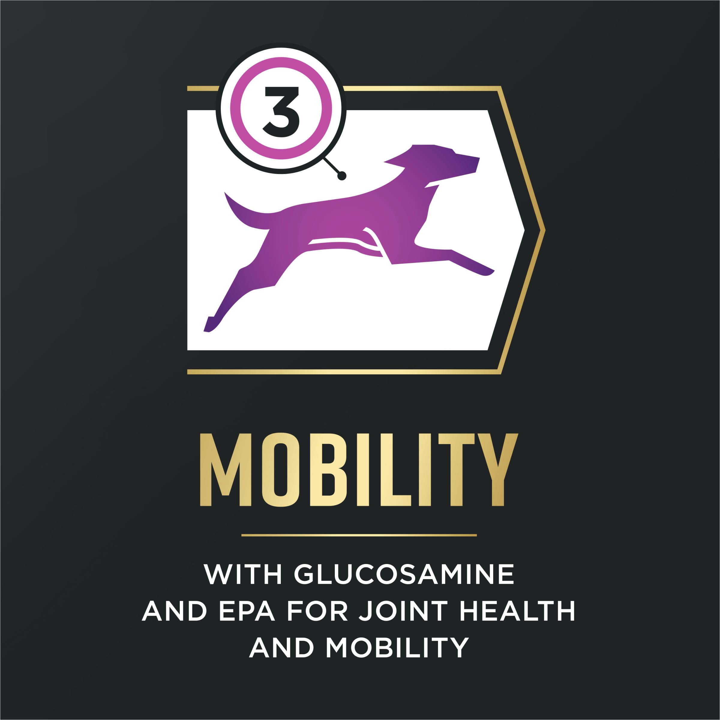Purina Pro Plan AdvantEDGE Senior bag highlights immune support for older dogs.