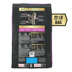 Purina Pro Plan AdvantEDGE Senior close-up kibble texture supports mobility in aging dogs.