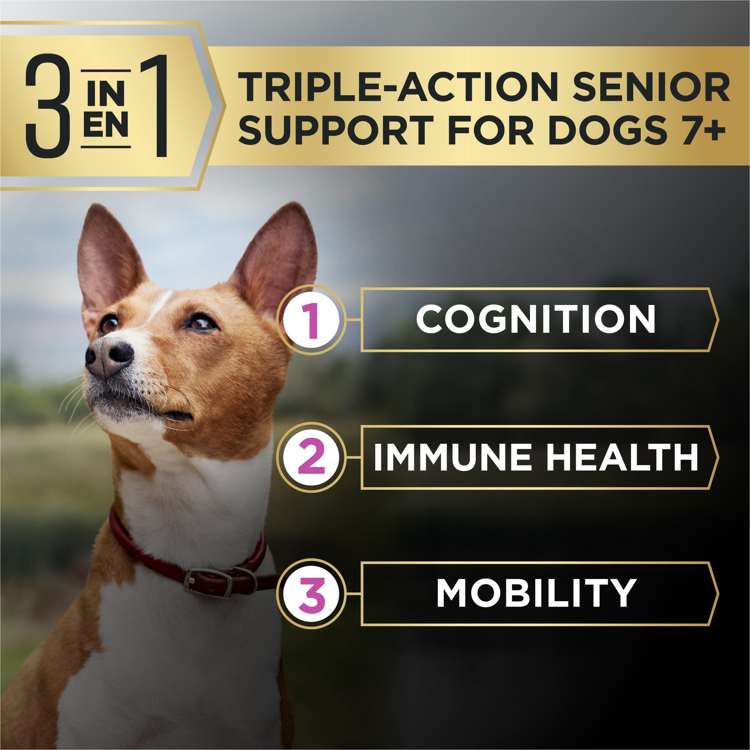 Purina Pro Plan AdvantEDGE senior dog bowl scene illustrating daily feeding routine