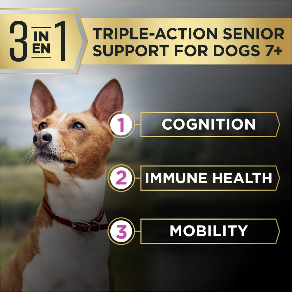 Purina Pro Plan AdvantEDGE senior dog bowl scene illustrating daily feeding routine