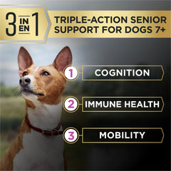 Purina Pro Plan AdvantEDGE senior dog bowl scene illustrating daily feeding routine