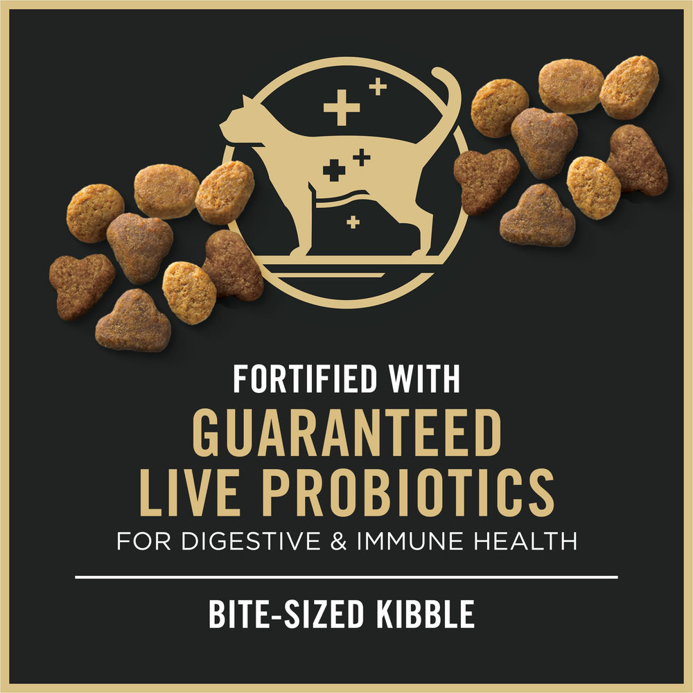 Purina Pro Plan Antioxidants image highlights immune support benefits