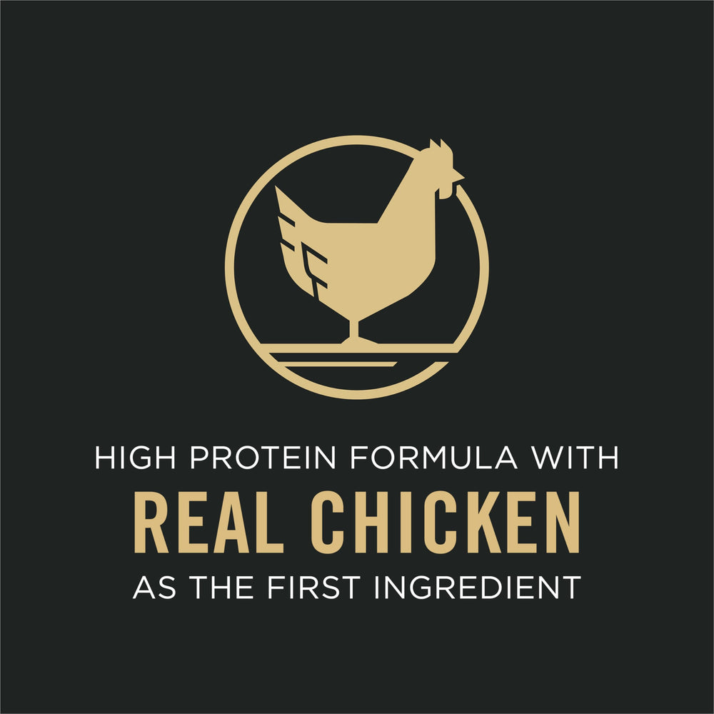 Purina Pro Plan Bright Mind 7+ vitamin A and linoleic acid nourish skin and coat