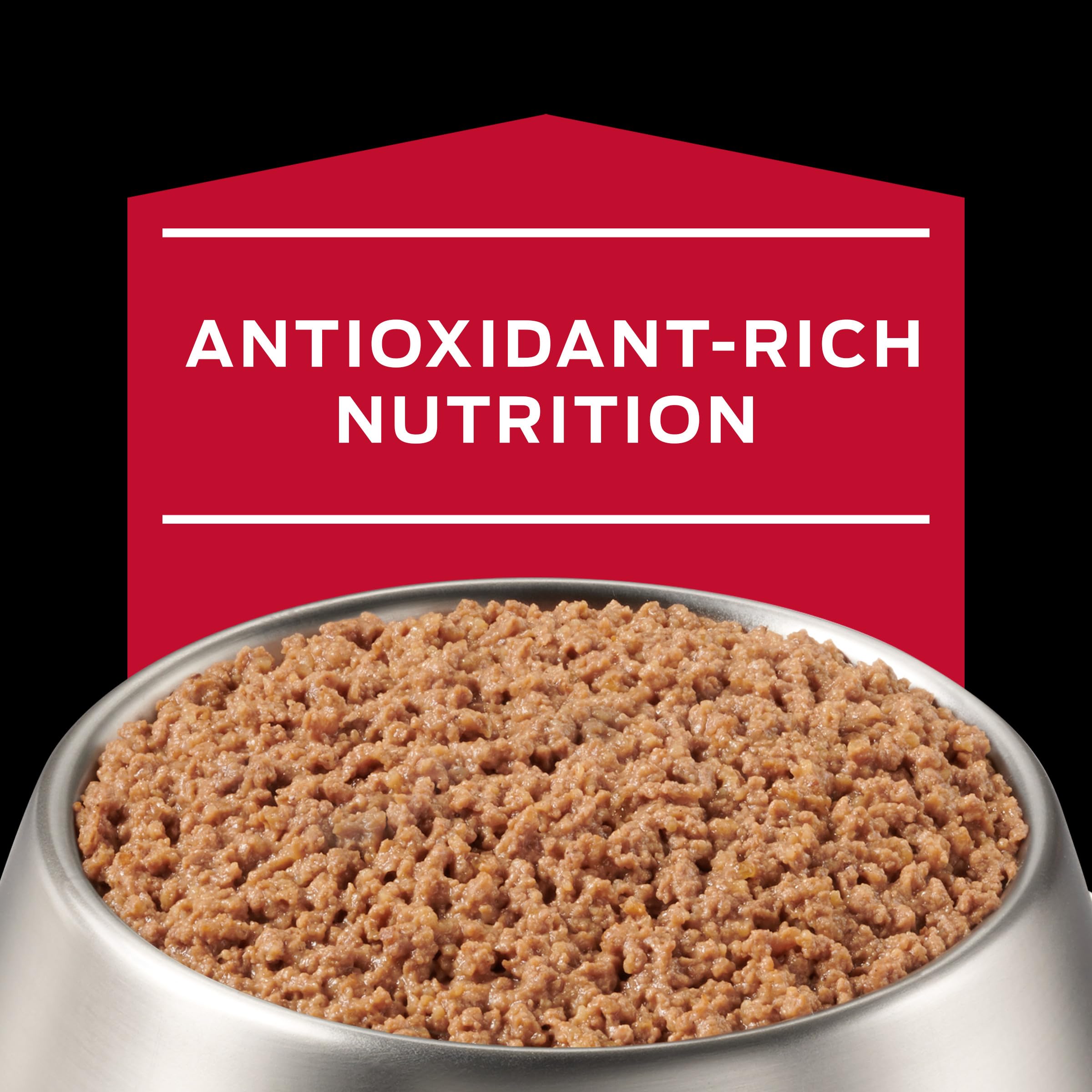 Nutrition panel close-up showing high protein wet food with balanced minerals.