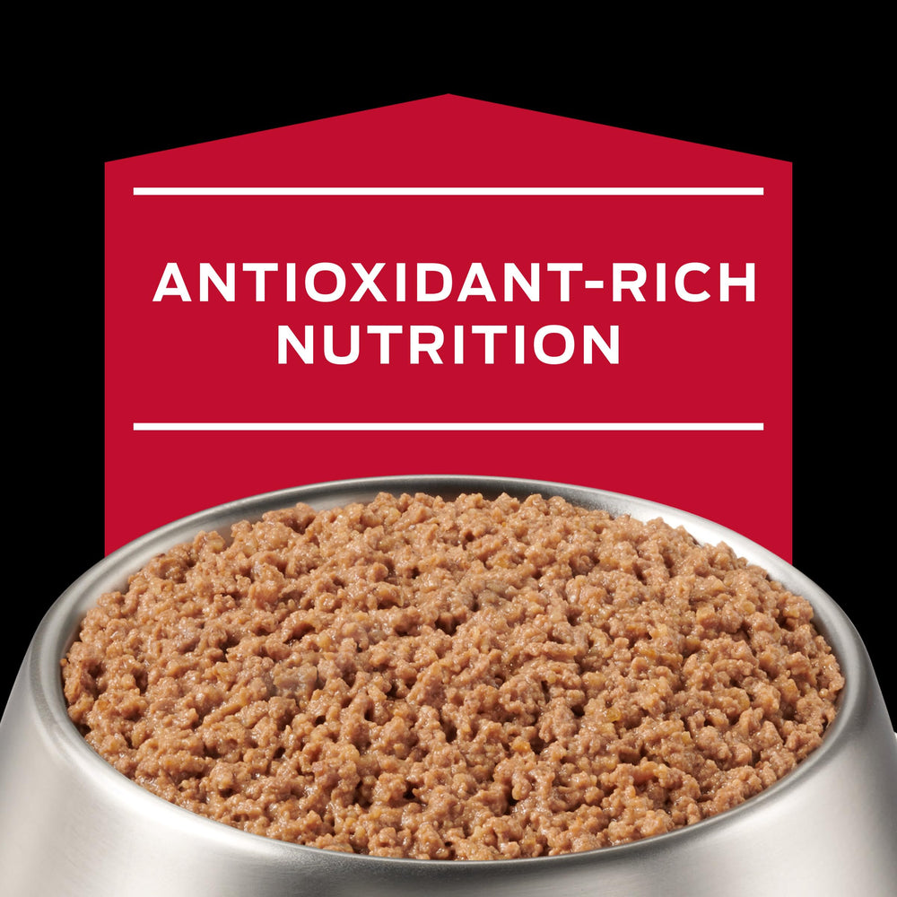 Nutrition panel close-up showing high protein wet food with balanced minerals.