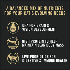 Purina Pro Plan cat enjoying kibble from bowl during mealtime