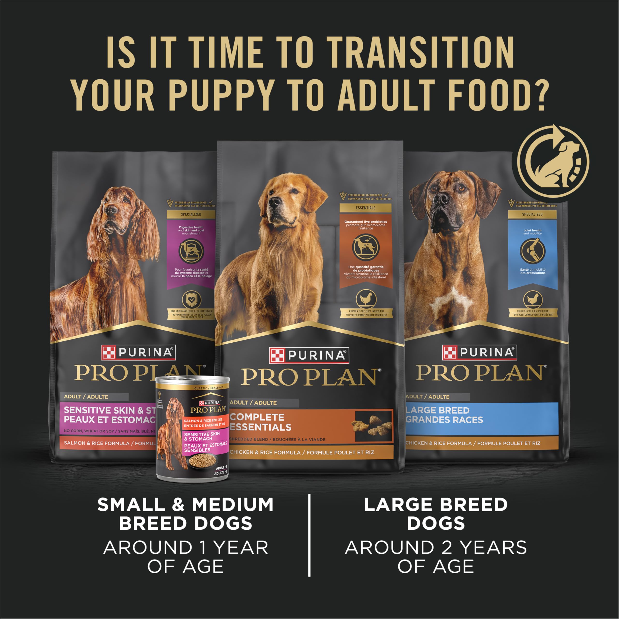 Purina Pro Plan Classic Chicken Entrée can and bowl set for daily feeding.