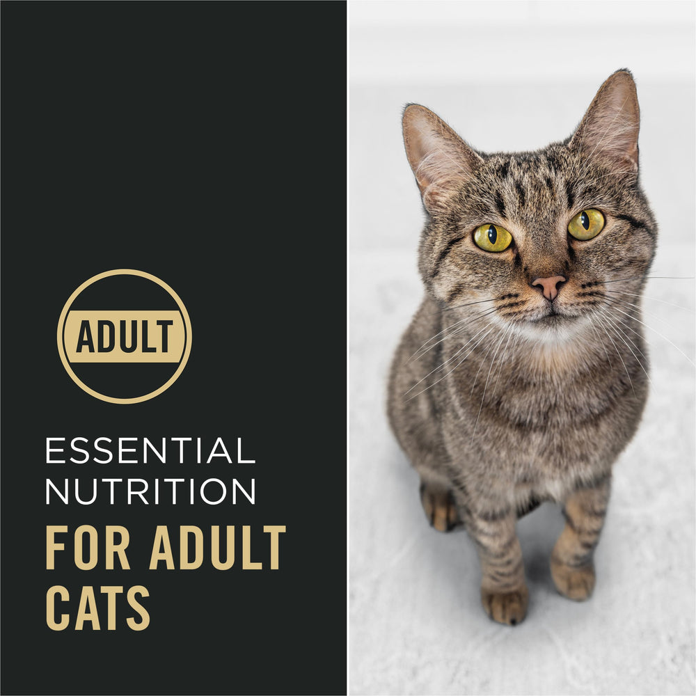 Purina Pro Plan Complete Essentials kibble and shredded pieces illustrate varied texture.