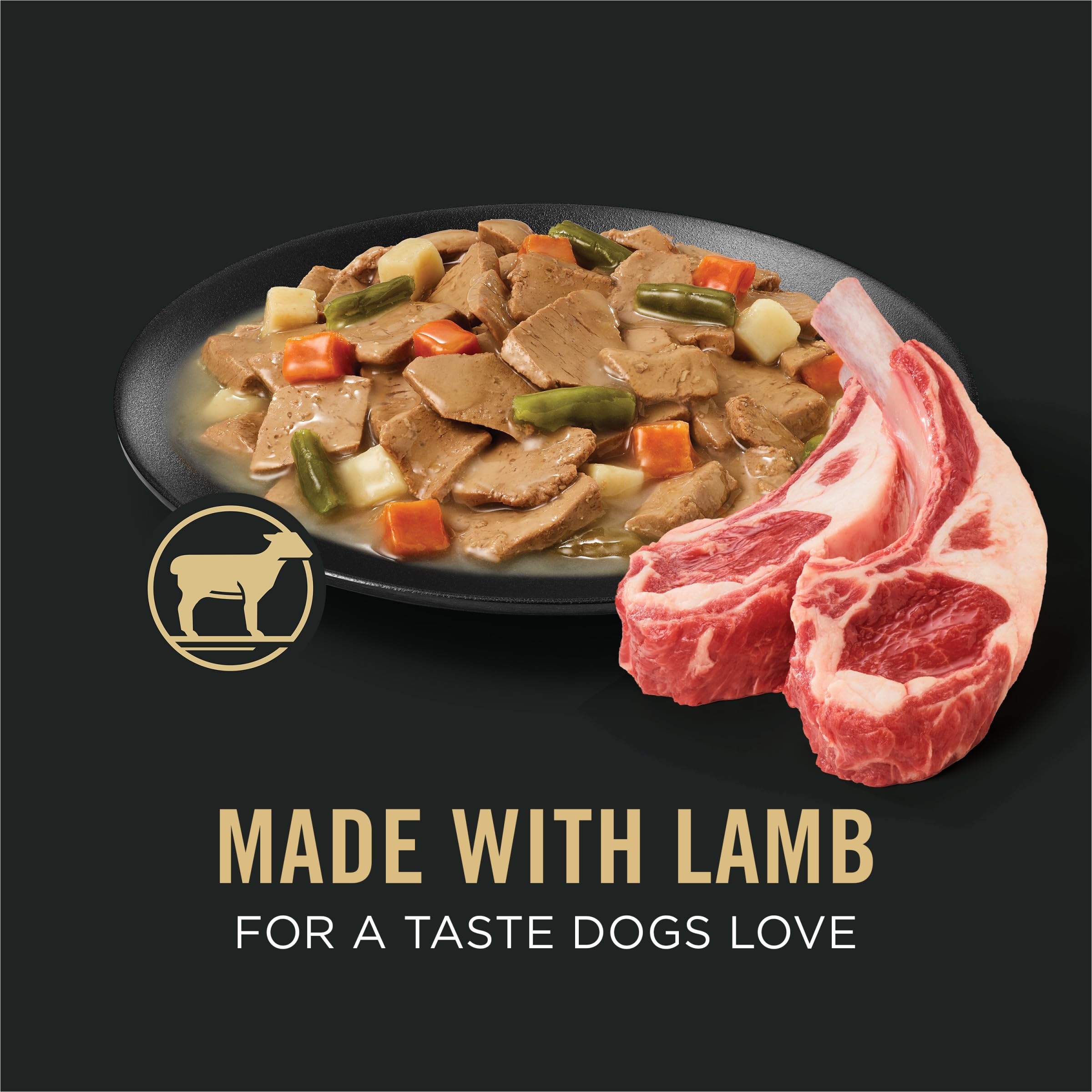 Purina Pro Plan Complete Essentials Lamb Entree bowl with gravy, appetizing texture