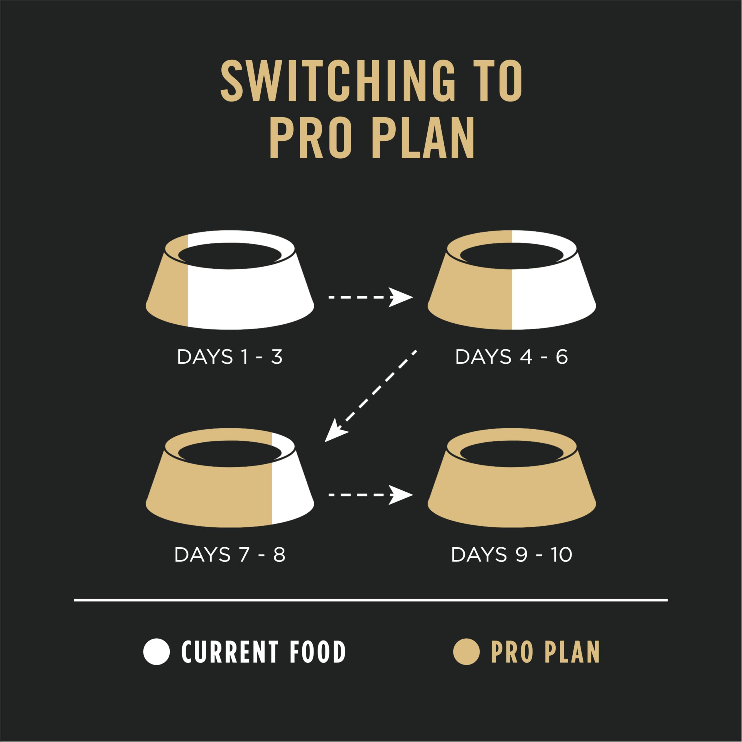 Purina Pro Plan in bowl for mealtime routine