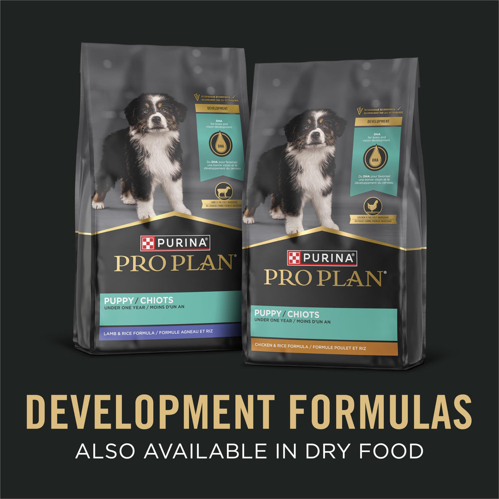 Purina Pro Plan grain-free puppy food on a kitchen counter during mealtime prep.