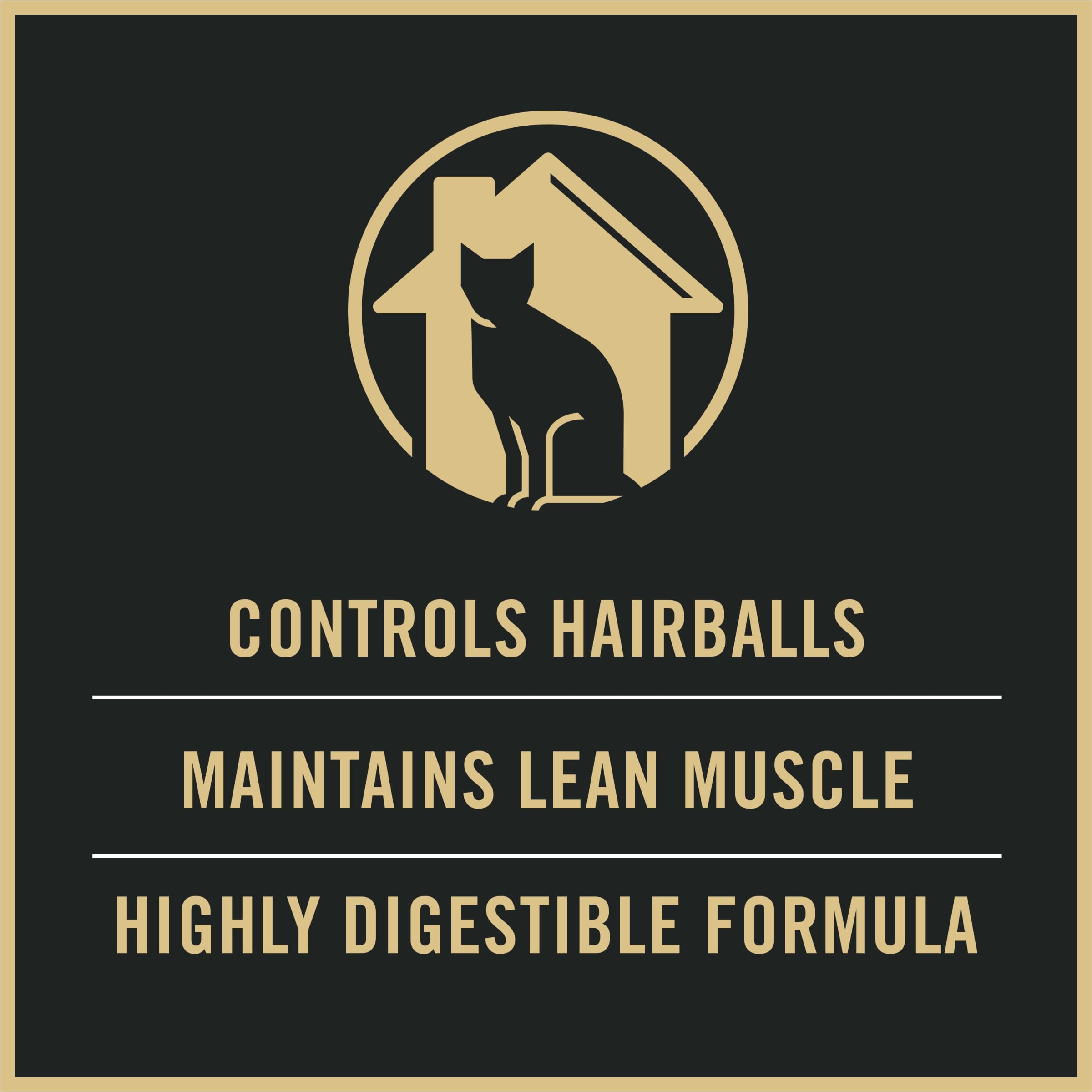 Purina Pro Plan high-protein kibble supports lean muscle and healthy weight