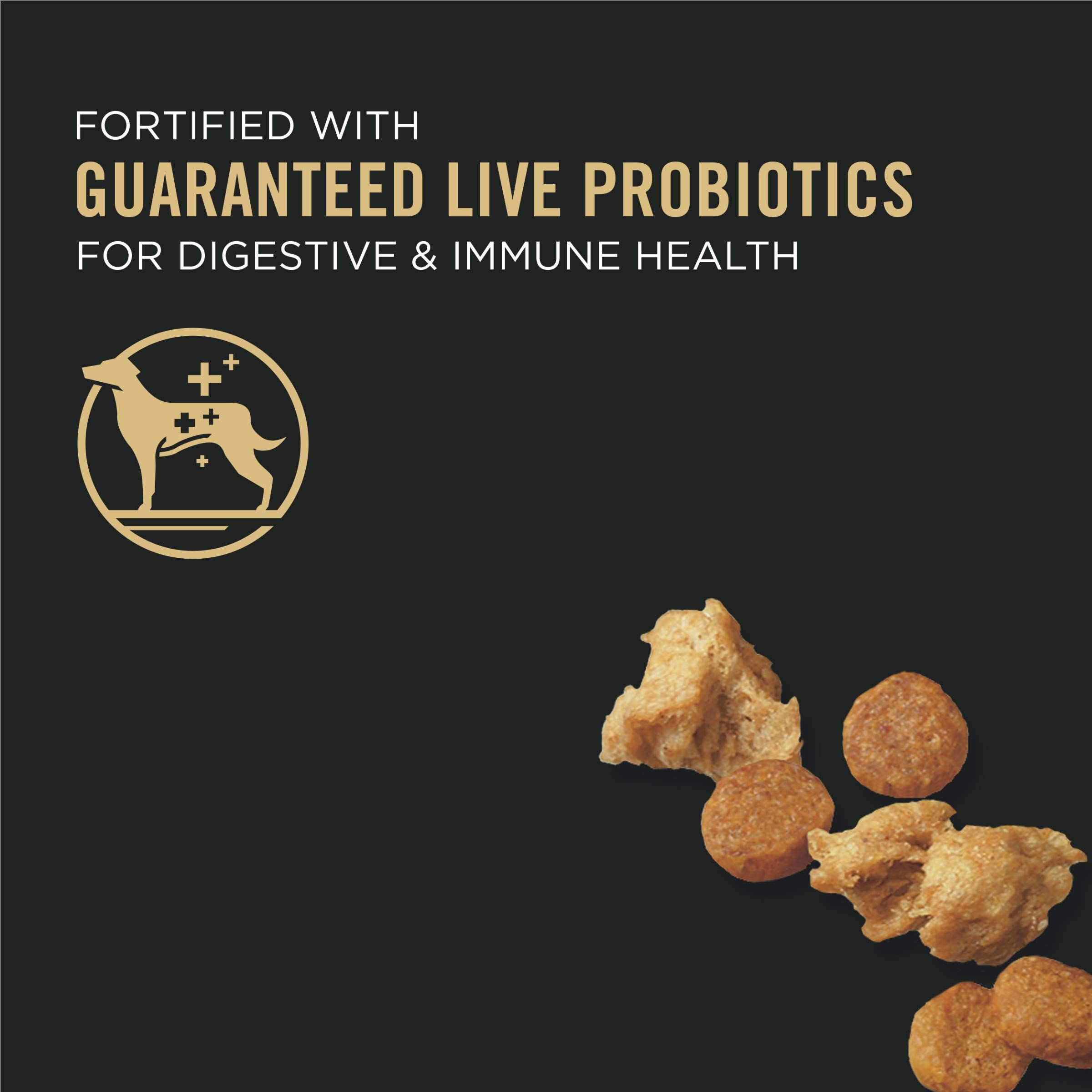 Purina Pro Plan High Protein Puppy Food showing shredded blend texture to entice picky eaters